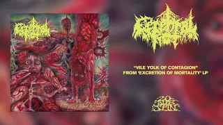 CEREBRAL ROT - Vile Yolk of Contagion (From 'Excretion Of Mortality' LP, 2021)