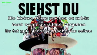 Jan Delay - Siehst du das genauso (Instrumental, BV, Lyrics, Karaoke)