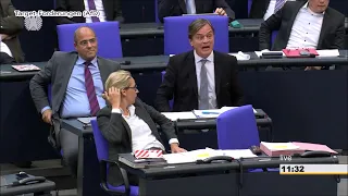 Best of Bundestag 95. Sitzung 2019 (Teil 1)