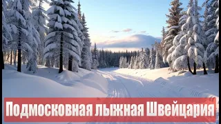 На лыжах по одной из самых лучших трасс Подмосковья / ГАБОвская народная лыжня