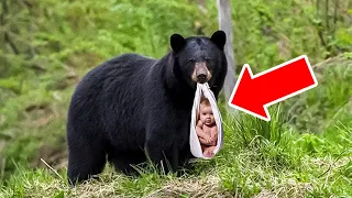 Black Bear Won’t Let Baby Go – The Reason Brings Ranger to Tears