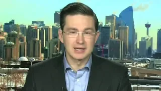 Poilievre: 'We need a leader who can stand up, fight back and win'