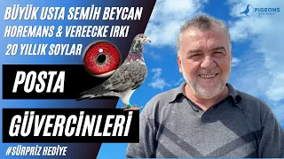 Posta Güvercin Belgeseli Horemans & Vereecke Maraton Yarış Güvercinleri Semih Beycan II