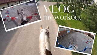 VLOG #1 MY WORKOUT HORSE RIDING | кск Добромысли | моя конная тренировка