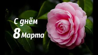 С днём 8 Марта #красивое поздравление