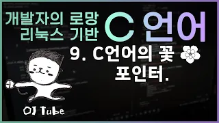 [C언어 실시간 강의9] C언어의 꽃 포인터.