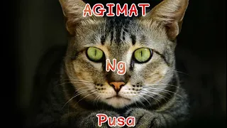 Agimat ng Pusa