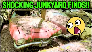 Discover the RARE Classic Cars in the World's Largest Junkyard!