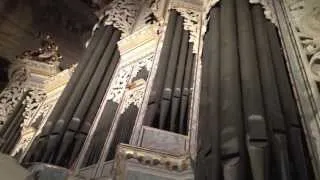 David BRIGGS plays J S Bach Toccata in C, BWV 564 at Naumburg