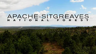 Apache Sitgreaves National Forest © Brian Goddard