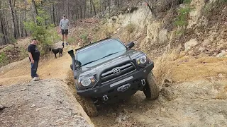 Tacoma on Daniel Trail, Uwharrie 2022