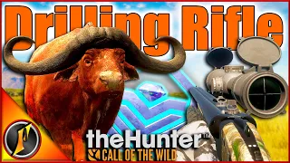 Diamond Cape Buffalo with the 9.3 Drilling Rifle! | theHunter Call of the Wild