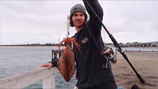 Squid Fishing At The Jetty