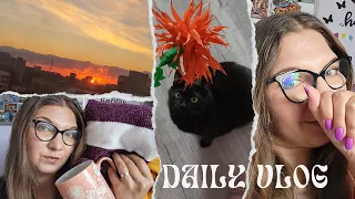 Haul Pepco/ unghiuțe cameleon ❤️/ o săptămână nebună| Daily Vlog
