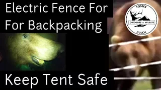 Bear Proofing a Tent with an Ultralight Electric Fence? - Back Country Camping in Grizzly Areas