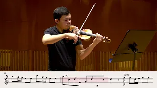 Vivaldi Violin Concerto in A minor RV 356