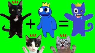 Rainbow Friends pero un gato es Blue en Carnaval 2023 / Videos de gatitos Luna y Estrella en español