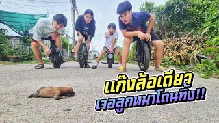 แก๊งล้อเดียว เจอลูกหมาโดนทิ้ง!! มันจะรอดไหมเนี่ย!! | ชีต้าพาชิว