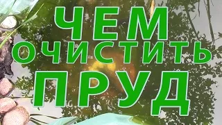 Чем ОЧИСТИТЬ пруд, водоем БЕЗ ХИМИИ!!! Быстрая очистка водоема.