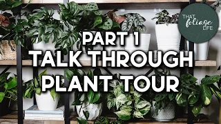 INDOOR PLANT Collection Tour (Over 100+ Houseplants!) Part 1