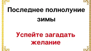 Последнее Полнолуние зимы. Успейте загадать желание.