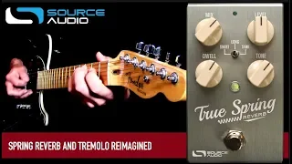 Source Audio True Spring Reverb