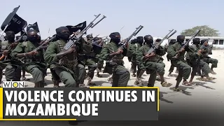 Mozambique: Palma escapees arrive in Pemba, recount violence | Latest World News | English News