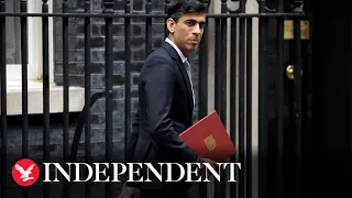 Rishi Sunak's new mini-budget explained