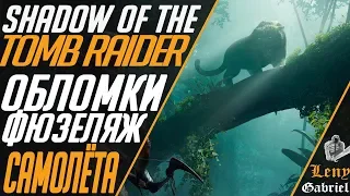 Shadow of the Tomb Raider - Обломки самолёта - Фюзеляж самолёта. Леопарды.