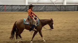 Ranch Riding AQHA Pattern 15