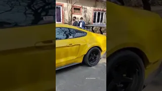 Mustang on steroids