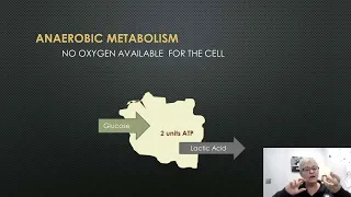 What is Perfusion?