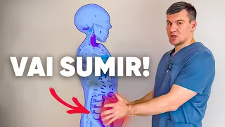 Como Comer de Tudo e Perder Peso? Perca Gordura e a Transforme em Abdominais Definidos