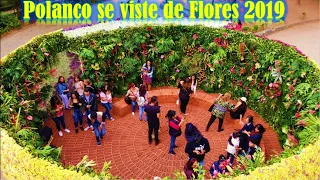 🌹 Festival de las Flores y Jardines en Polanco 2019 [Dron] 🌲 🍇 ❀ 🌴