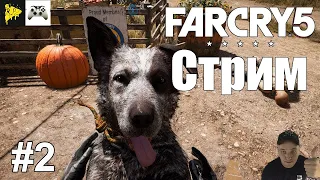 Far Cry 5  прохождения в кооперативе  ламповый стрим советую посмотреть.