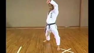 SKIF Heian Shodan