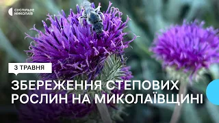 На Миколаївщині планують створити новий ботанічний заказник