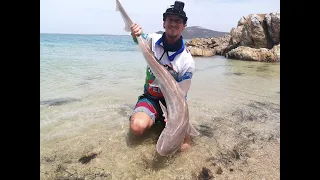 Fishing for SmoothHound Sharks in Langebaan