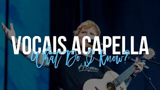 What Do I Know? - Ed Sheeran (ACAPELLA)