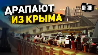 Россияне массово валят из Крыма, на мосту пробки. ПВО полуострова не справляется