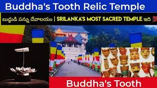 Srilanka #4 | Buddha's Tooth Relic Temple Kandy | TeluguVlogs 🇱🇰