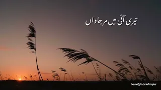 Ve perdesiya | London nahi jaunga | Aesthetic video | Music | ARY