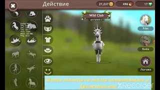 🙀Я нашла баг на любое движение в WildCraft🔥