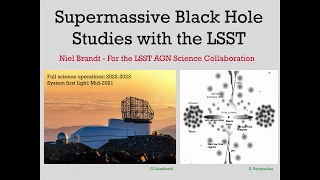 Supermassive Black Hole Studies with the LSST - 2019 June