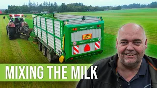 One Man, One Tractor - Feeding 1,200 COWS EVERYDAY!