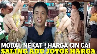 HARGA TIARAP DAN LUAR LOGIKA ! BIKIN BINGUNG PEDAGANG PASAR BURUNG. PART 1