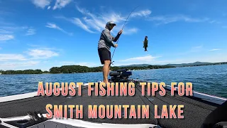 How to catch bass on Smith Mountain Lake in August