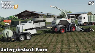 Making 🇩🇪 MaizeSilage 🇩🇪 Bales with Claas Jaguar, Selling Eggs│Untergriesbach│FS 19│Timelapse#6