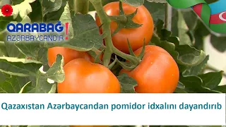 Qazaxıstan Azərbaycandan pomidor idxalını dayandırıb (20.01.2021)