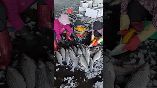 Pinakamahal na isda dahil sa mga itlog nito